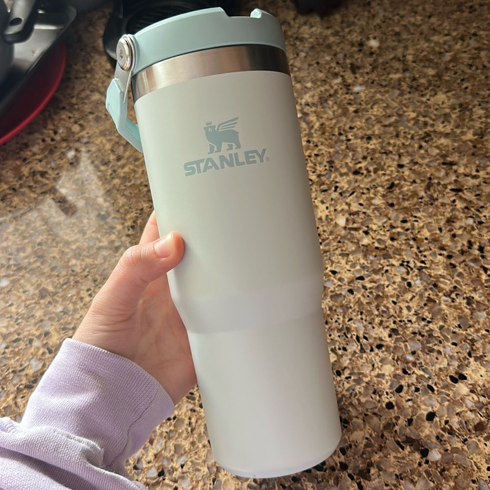 Stanley 30 oz bottle